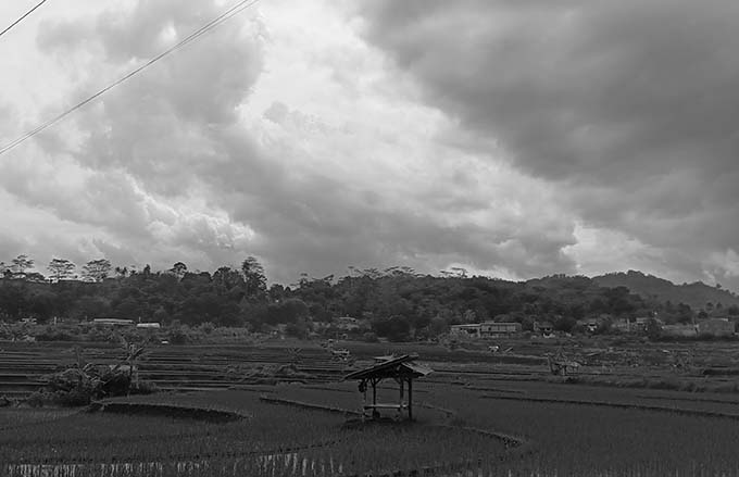 Sawah Lega Soekapoera